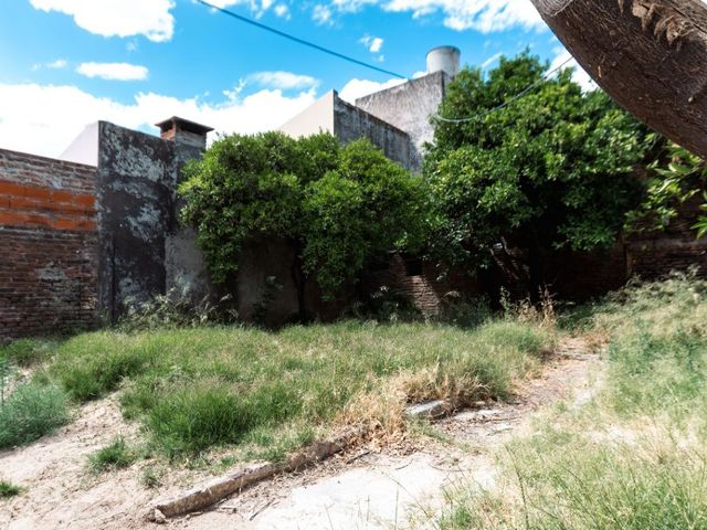 place photo 21