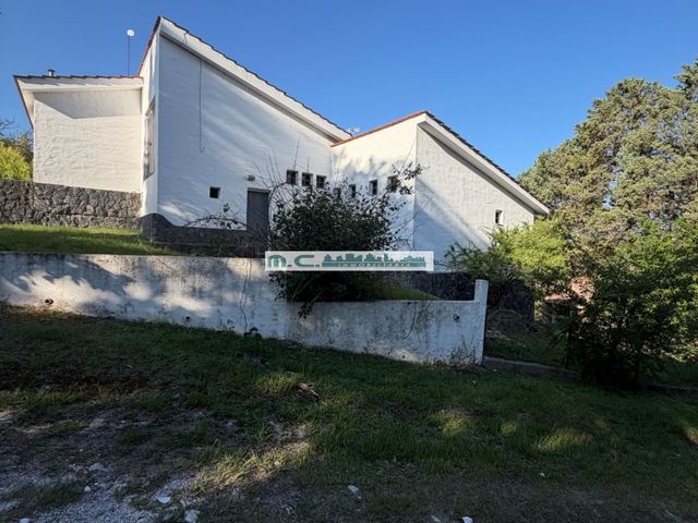 place photo 33