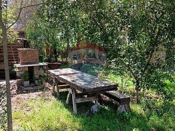 place photo 54