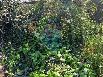 place photo 63
