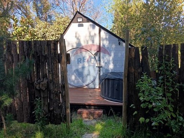 place photo 55