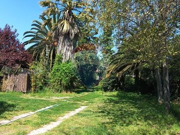 place photo 62