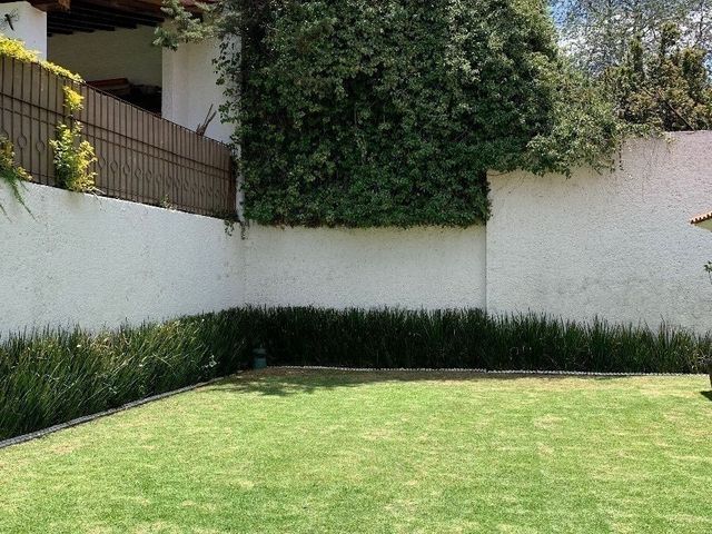 place photo 42