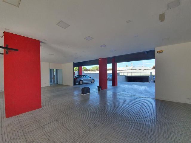 place photo 38