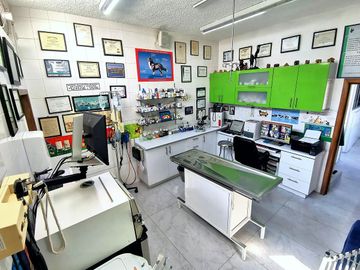 place photo 12