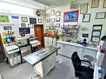 place photo 13