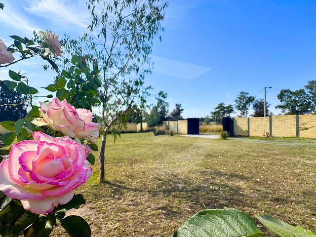 place photo 22