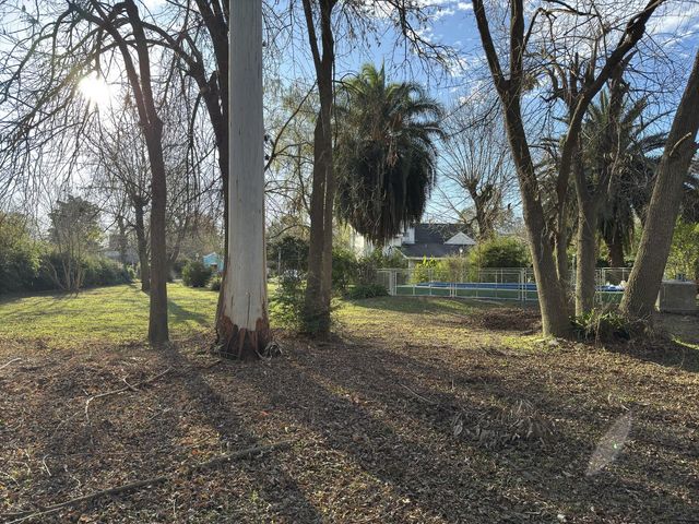 place photo 37