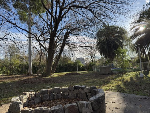 place photo 39