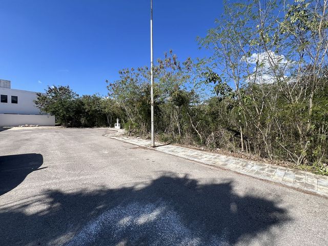 place photo 14