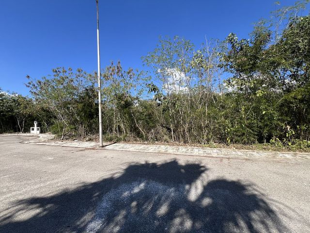 place photo 13