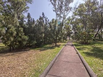 place photo 21