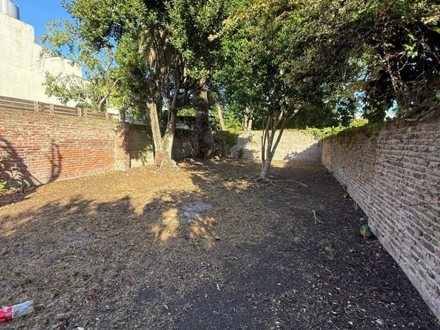 place photo 14