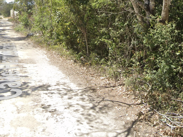 place photo 10