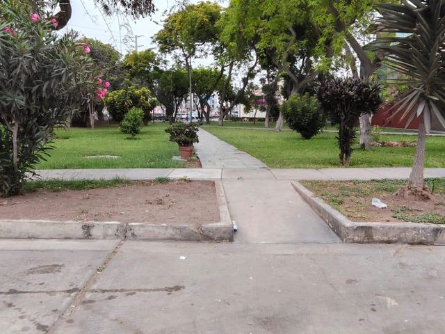 place photo 12