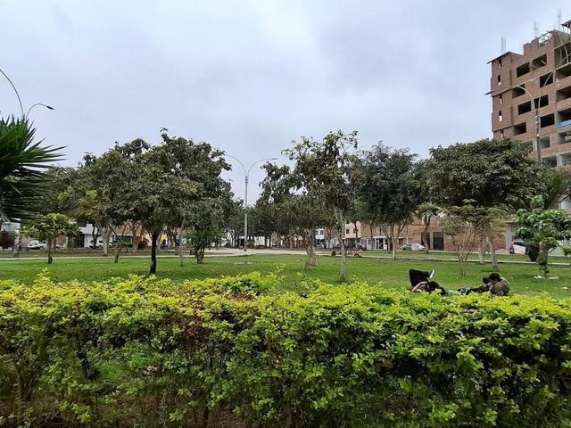 place photo 59
