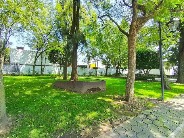 place photo 36