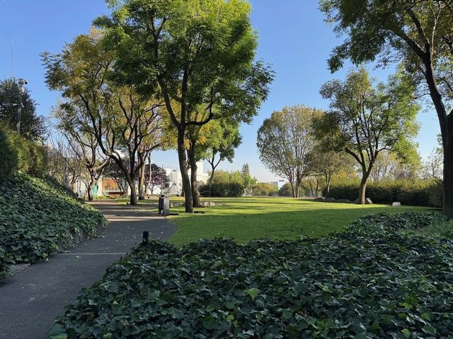 place photo 21