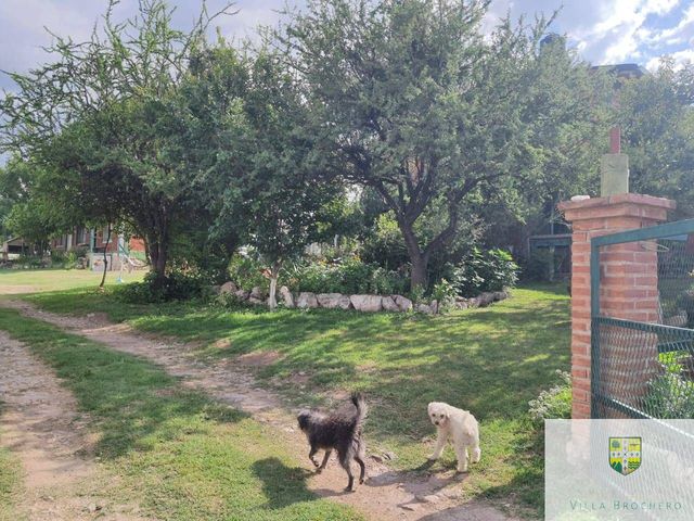 place photo 48