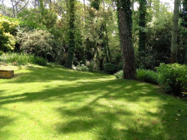 place photo 56