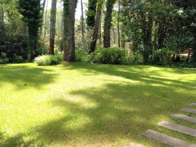 place photo 55