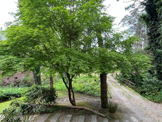 place photo 52