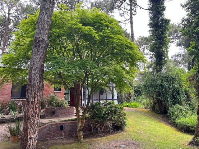 place photo 48