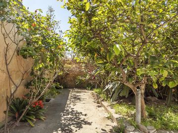 place photo 26