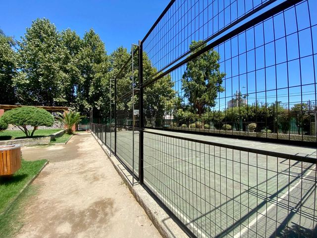 place photo 14