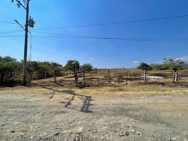 place photo 23