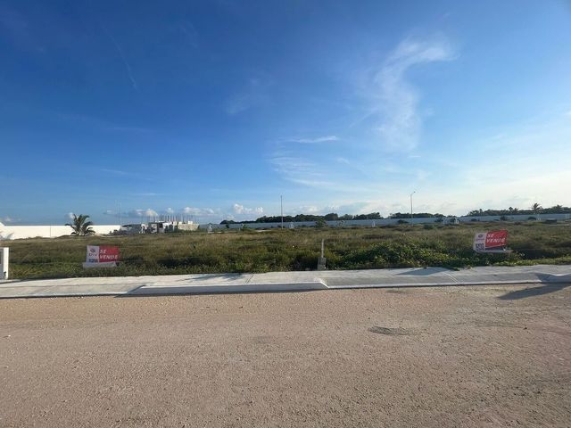 place photo 15
