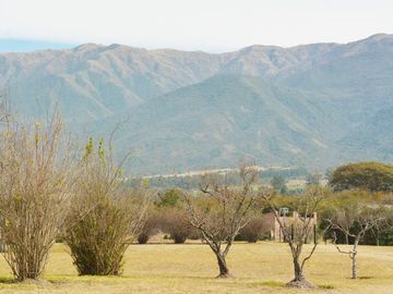 place photo 35