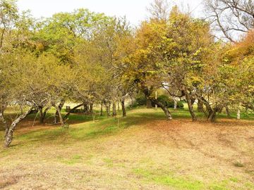 place photo 38