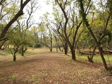 place photo 37