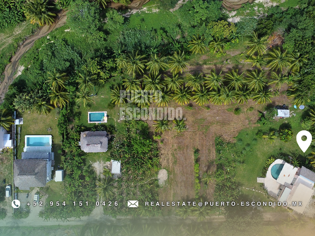place photo 18