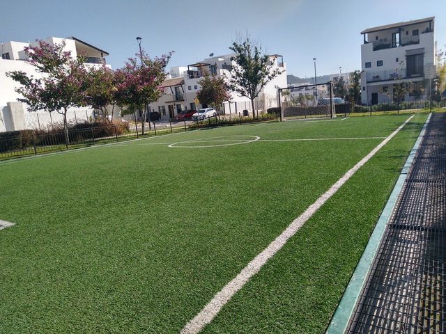 place photo 24