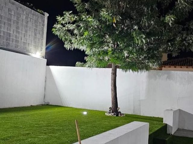 place photo 58