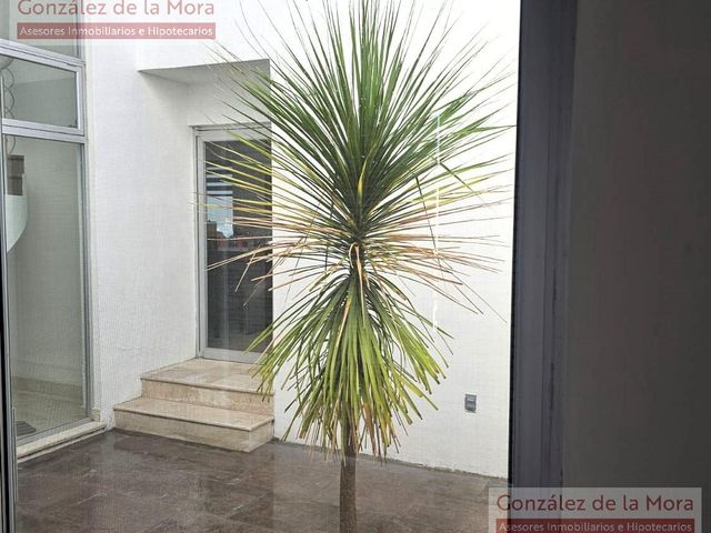 place photo 35