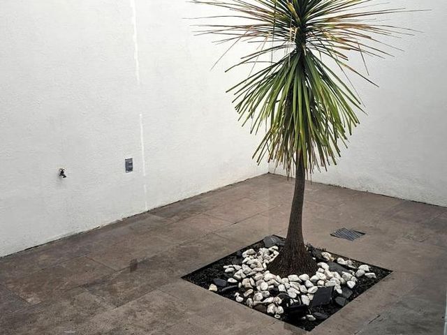 place photo 34