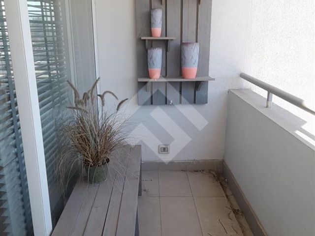 place photo 54