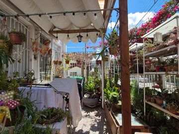 place photo 58