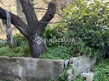 place photo 19