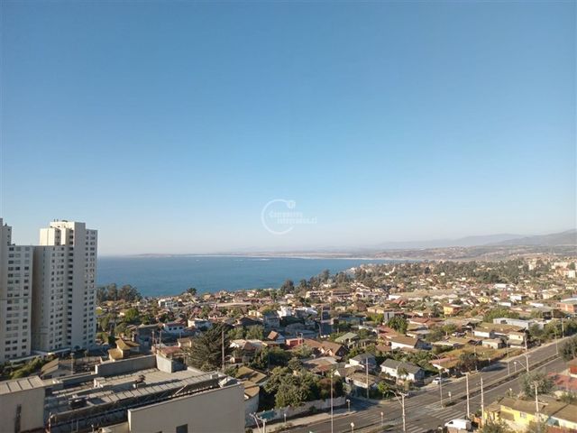 place photo 38