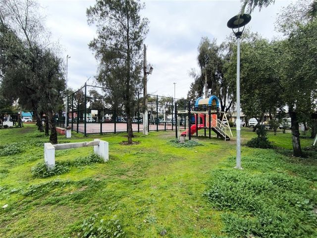 place photo 23