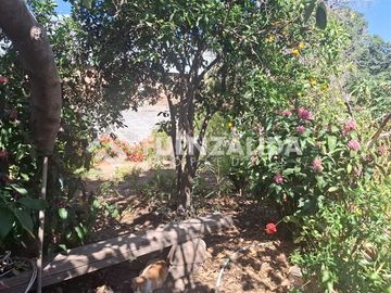 place photo 26