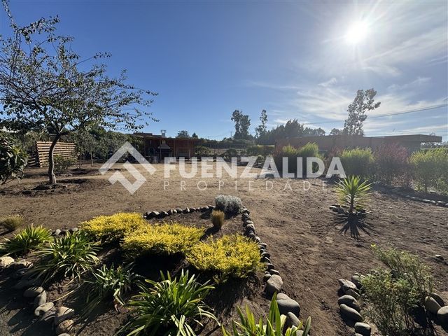 place photo 27
