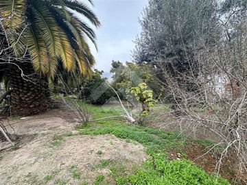 place photo 54