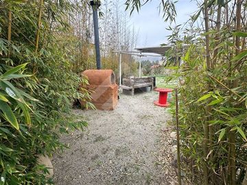 place photo 55