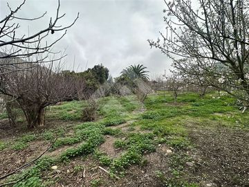 place photo 47
