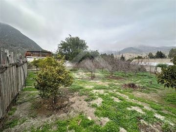 place photo 49